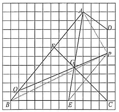 图片[13]-2026年“数学花园探秘”科普活动小学高年级组决赛试卷 A-邱福星的教学页面