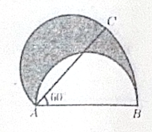 图片[1]-2026经开外校选拔考试-邱福星的教学页面